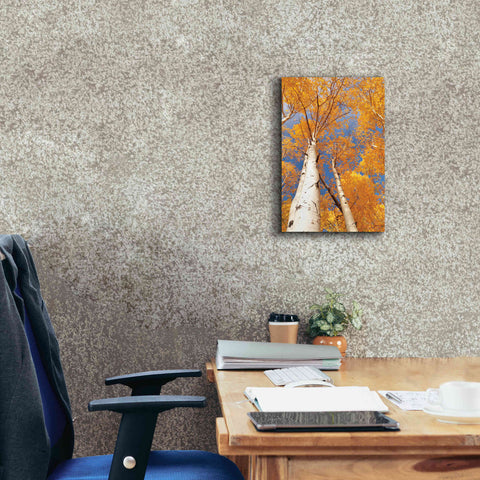 Image of 'Aspen I' by Lori Deiter, Canvas Wall Art,12 x 18