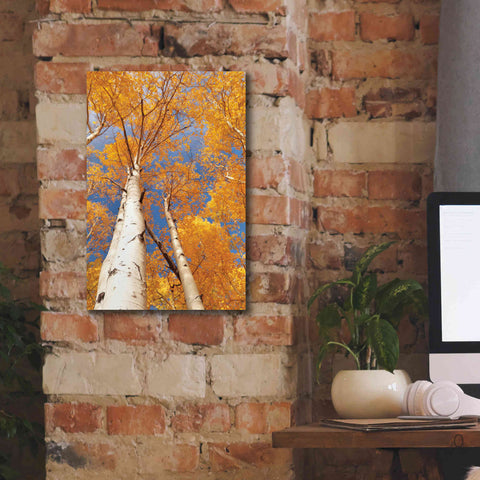 Image of 'Aspen I' by Lori Deiter, Canvas Wall Art,12 x 18