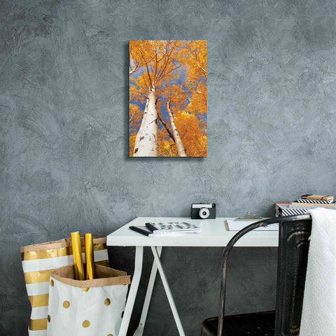 Image of 'Aspen I' by Lori Deiter, Canvas Wall Art,12 x 18