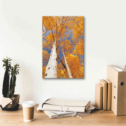 Image of 'Aspen I' by Lori Deiter, Canvas Wall Art,12 x 18