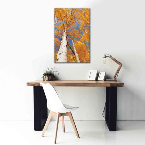 Image of 'Aspen I' by Lori Deiter, Canvas Wall Art,26 x 40