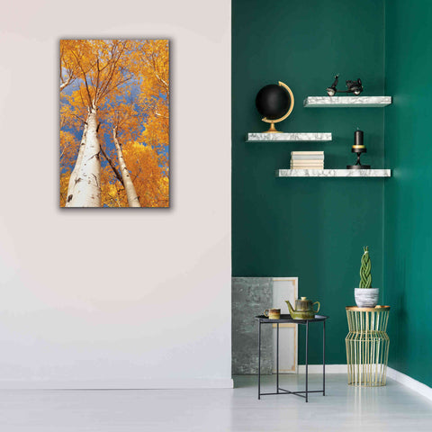 Image of 'Aspen I' by Lori Deiter, Canvas Wall Art,26 x 40