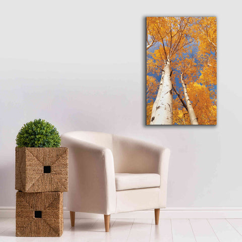 Image of 'Aspen I' by Lori Deiter, Canvas Wall Art,26 x 40