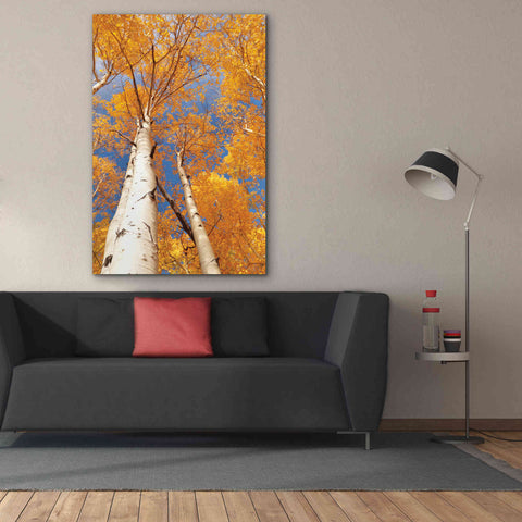 Image of 'Aspen I' by Lori Deiter, Canvas Wall Art,40 x 60