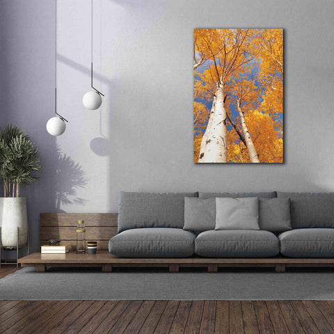 Image of 'Aspen I' by Lori Deiter, Canvas Wall Art,40 x 60