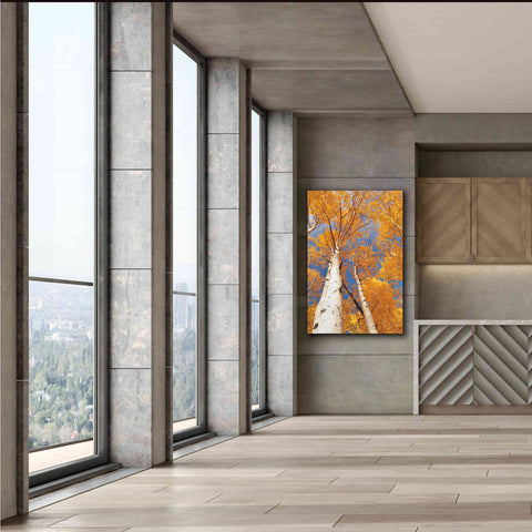 Image of 'Aspen I' by Lori Deiter, Canvas Wall Art,40 x 60