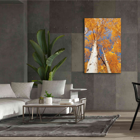Image of 'Aspen I' by Lori Deiter, Canvas Wall Art,40 x 60