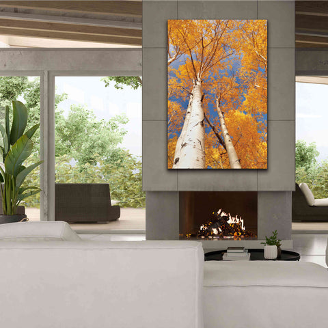Image of 'Aspen I' by Lori Deiter, Canvas Wall Art,40 x 60