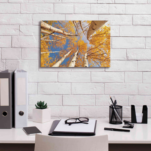 Image of 'Aspen II' by Lori Deiter, Canvas Wall Art,18 x 12