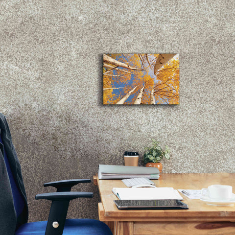 Image of 'Aspen II' by Lori Deiter, Canvas Wall Art,18 x 12