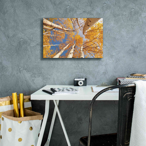 Image of 'Aspen II' by Lori Deiter, Canvas Wall Art,18 x 12