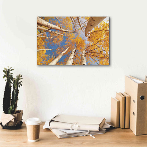 Image of 'Aspen II' by Lori Deiter, Canvas Wall Art,18 x 12