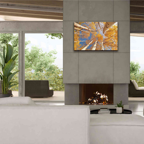 Image of 'Aspen II' by Lori Deiter, Canvas Wall Art,40 x 26