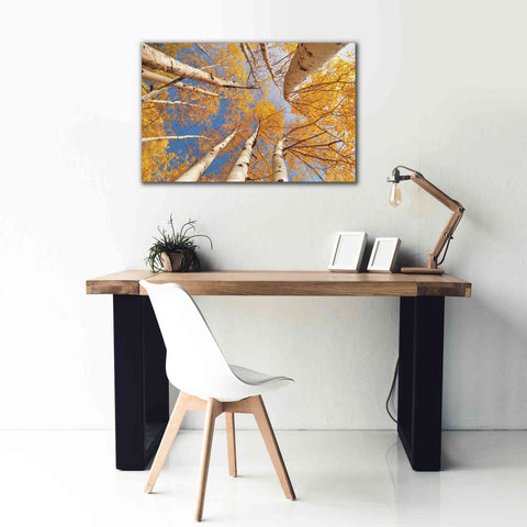 Image of 'Aspen II' by Lori Deiter, Canvas Wall Art,40 x 26