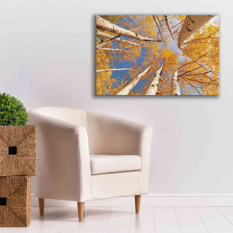 Image of 'Aspen II' by Lori Deiter, Canvas Wall Art,40 x 26