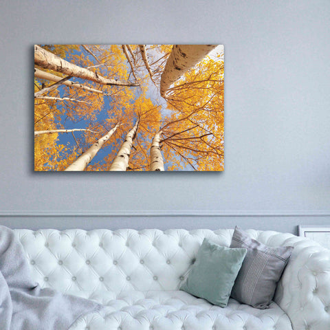Image of 'Aspen II' by Lori Deiter, Canvas Wall Art,60 x 40