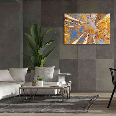 Image of 'Aspen II' by Lori Deiter, Canvas Wall Art,60 x 40