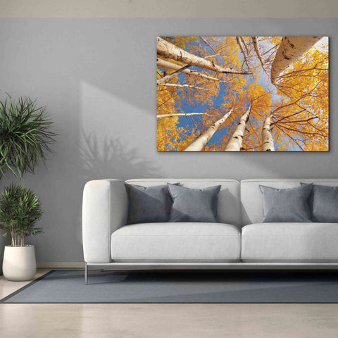 Image of 'Aspen II' by Lori Deiter, Canvas Wall Art,60 x 40