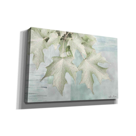 Image of 'The Maple Leaves' by Lori Deiter, Canvas Wall Art