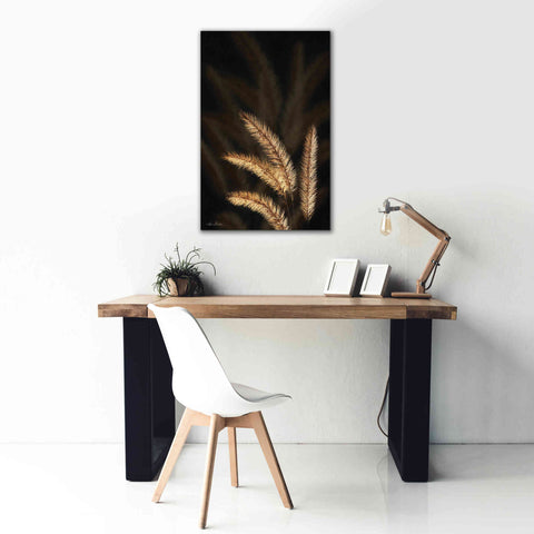 Image of 'Golden Grass I' by Lori Deiter, Canvas Wall Art,26 x 40