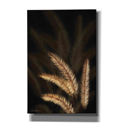 Image of 'Golden Grass I' by Lori Deiter, Canvas Wall Art