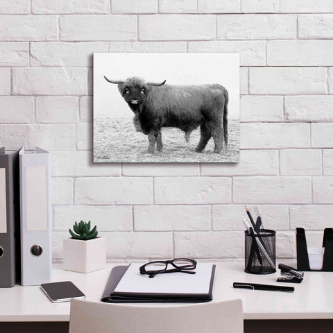 Image of 'Scotty the Bull' by Lori Deiter, Canvas Wall Art,16 x 12