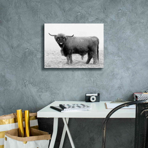 Image of 'Scotty the Bull' by Lori Deiter, Canvas Wall Art,16 x 12
