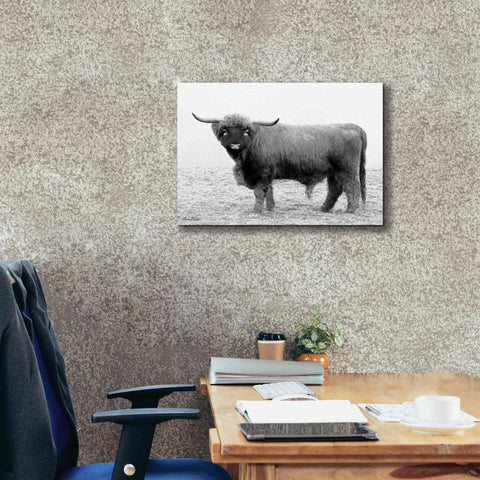 Image of 'Scotty the Bull' by Lori Deiter, Canvas Wall Art,26 x 18