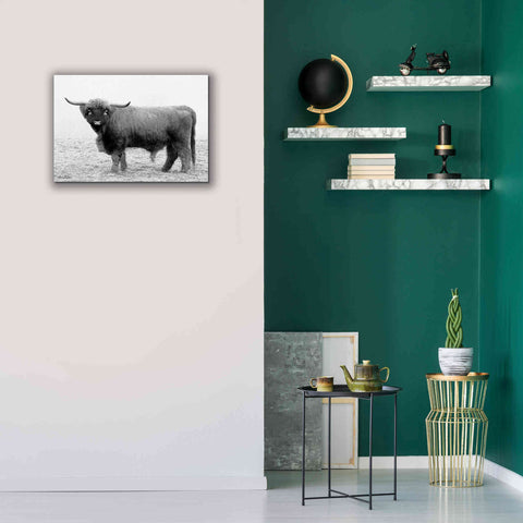 Image of 'Scotty the Bull' by Lori Deiter, Canvas Wall Art,26 x 18