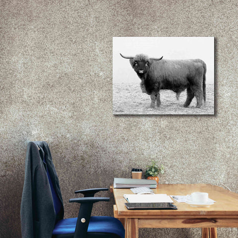 Image of 'Scotty the Bull' by Lori Deiter, Canvas Wall Art,34 x 26