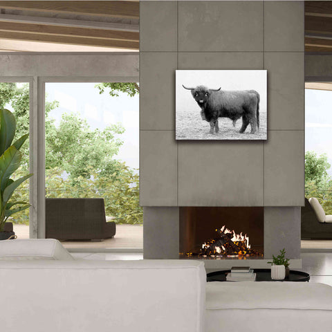 Image of 'Scotty the Bull' by Lori Deiter, Canvas Wall Art,34 x 26