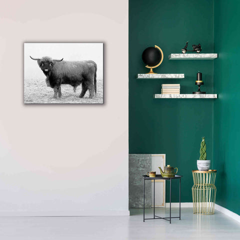 Image of 'Scotty the Bull' by Lori Deiter, Canvas Wall Art,34 x 26