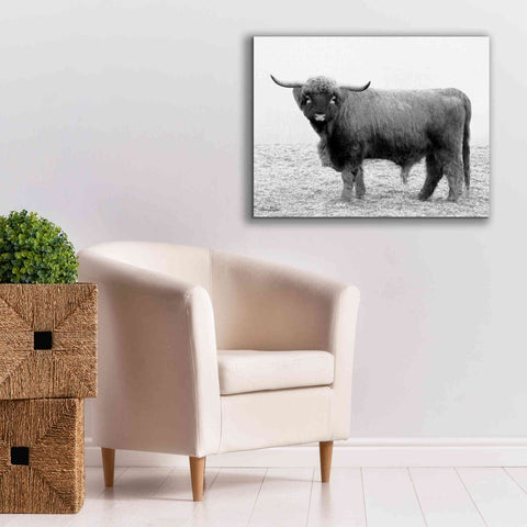Image of 'Scotty the Bull' by Lori Deiter, Canvas Wall Art,34 x 26