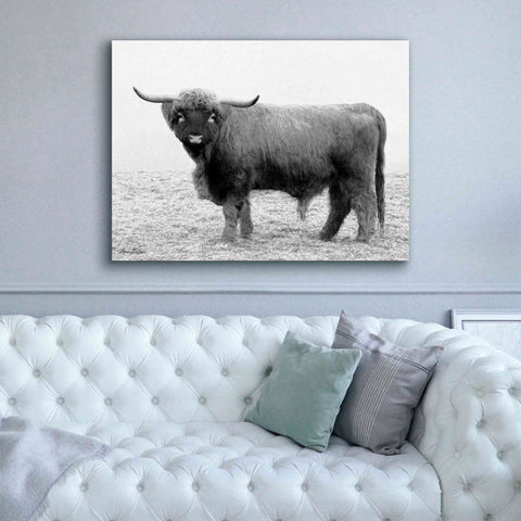 Image of 'Scotty the Bull' by Lori Deiter, Canvas Wall Art,54 x 40