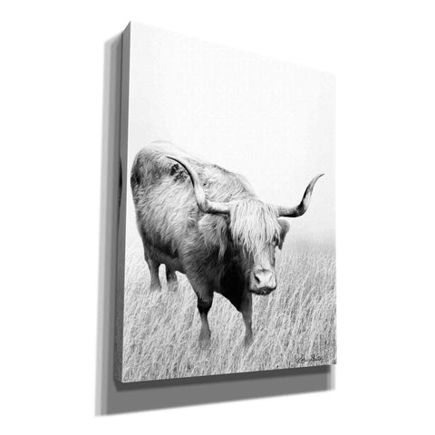 Image of 'Kiss My Hairy Face' by Lori Deiter, Canvas Wall Art