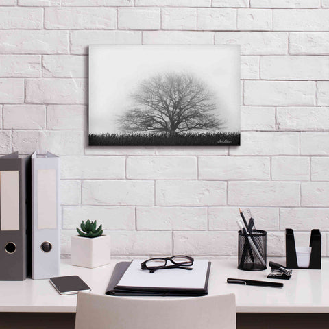 Image of 'Foggy Old Tree' by Lori Deiter, Canvas Wall Art,18 x 12