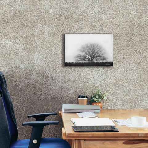 Image of 'Foggy Old Tree' by Lori Deiter, Canvas Wall Art,18 x 12
