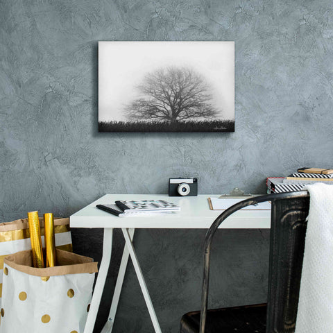 Image of 'Foggy Old Tree' by Lori Deiter, Canvas Wall Art,18 x 12