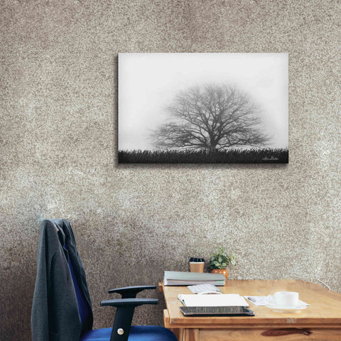 Image of 'Foggy Old Tree' by Lori Deiter, Canvas Wall Art,40 x 26