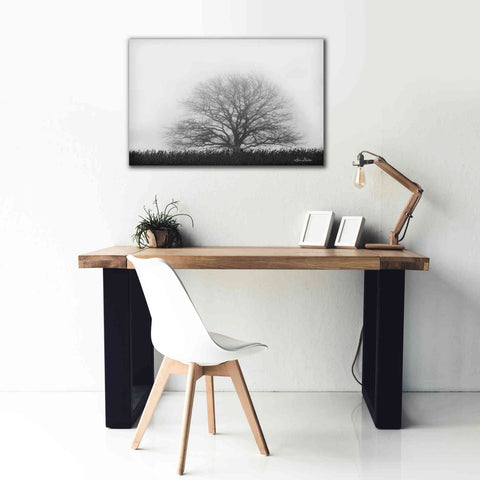 Image of 'Foggy Old Tree' by Lori Deiter, Canvas Wall Art,40 x 26