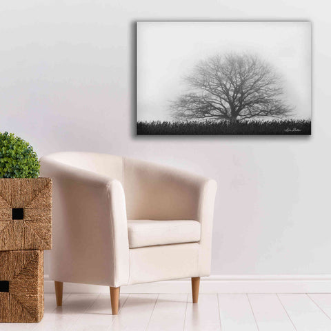 Image of 'Foggy Old Tree' by Lori Deiter, Canvas Wall Art,40 x 26