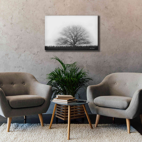 Image of 'Foggy Old Tree' by Lori Deiter, Canvas Wall Art,40 x 26