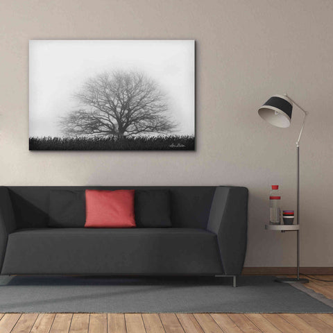 Image of 'Foggy Old Tree' by Lori Deiter, Canvas Wall Art,60 x 40
