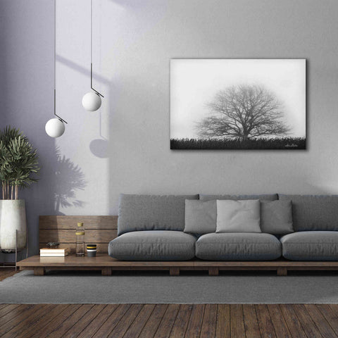 Image of 'Foggy Old Tree' by Lori Deiter, Canvas Wall Art,60 x 40