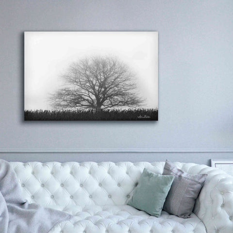 Image of 'Foggy Old Tree' by Lori Deiter, Canvas Wall Art,60 x 40