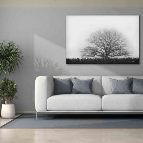 Image of 'Foggy Old Tree' by Lori Deiter, Canvas Wall Art,60 x 40
