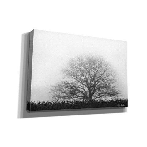 Image of 'Foggy Old Tree' by Lori Deiter, Canvas Wall Art