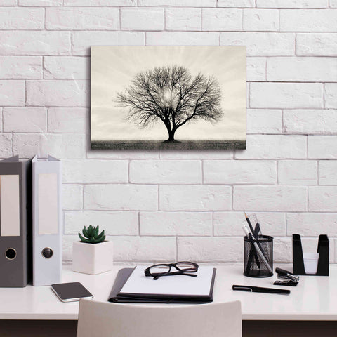 Image of 'Grow in Different Directions' by Lori Deiter, Canvas Wall Art,18 x 12