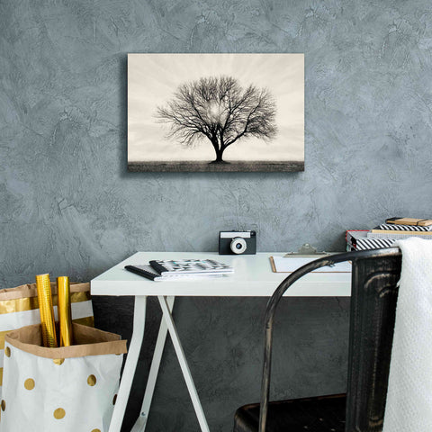 Image of 'Grow in Different Directions' by Lori Deiter, Canvas Wall Art,18 x 12