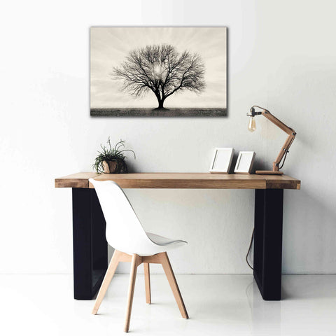 Image of 'Grow in Different Directions' by Lori Deiter, Canvas Wall Art,40 x 26